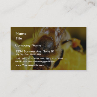 Bees Pollen Insects Wings Macro Bugs Business Card