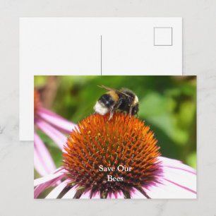 BEES POSTCARD