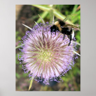 BEES POSTER