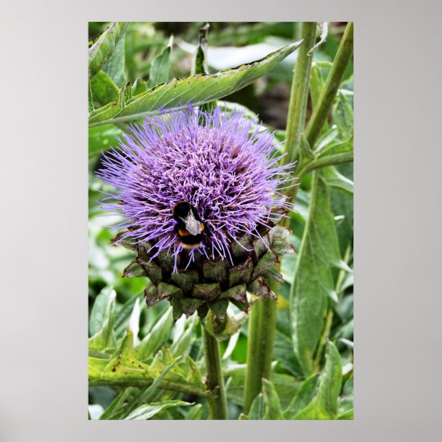 BEES POSTER (Front)