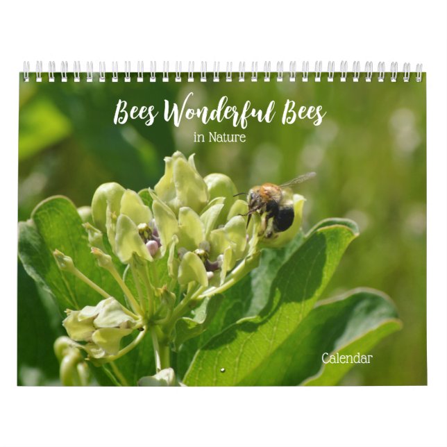 Bees Wonderful Bees In Nature Calendar (Cover)