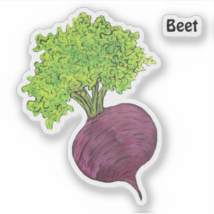 Beet