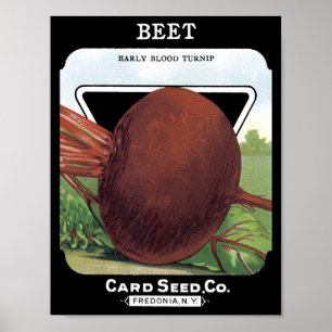 Beet Card Seed Co. packet Vintage Fredonia, NY Poster