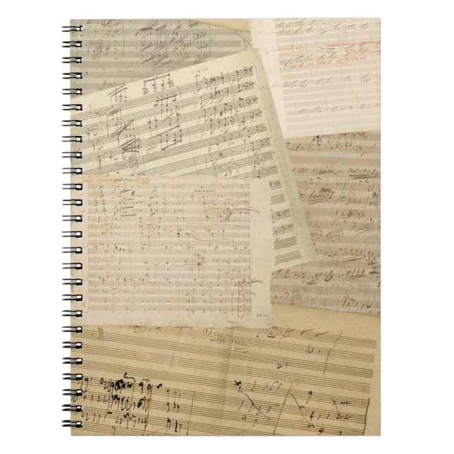 Beethoven Manuscript Medley Spiral Notebook (Front)