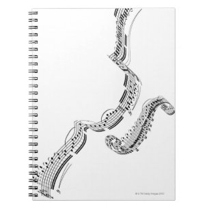 Beethovens Violin Concerto Notebook