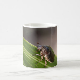 Beetle 01 coffee mug