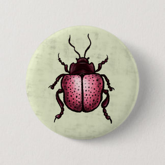 Beetle Art Entomology Cute Pink Insect 6 Cm Round Badge