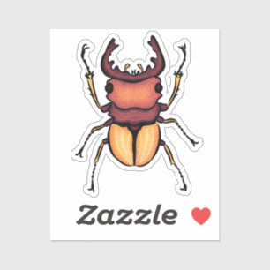 Beetle Art Entomology Insect