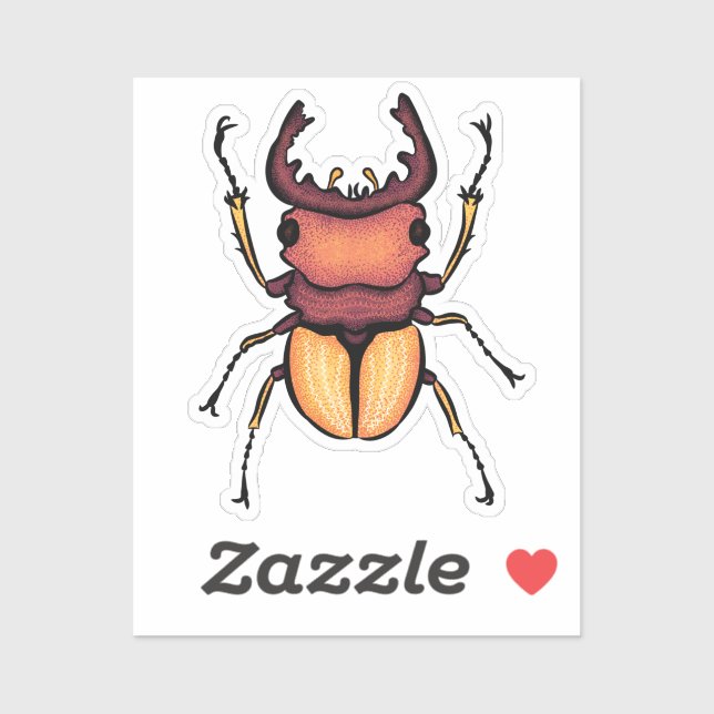 Beetle Art Entomology Insect (Sheet)