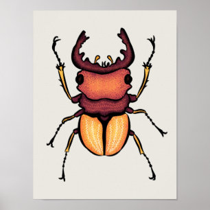 Beetle Art Entomology Insect Poster
