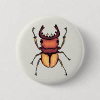 Beetle Art Entomology Insect Poster