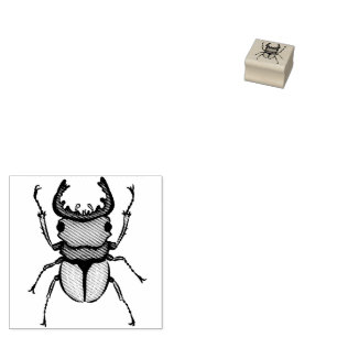 Beetle Art Entomology Insect Rubber Stamp