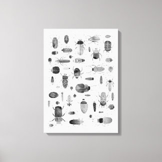 Beetle Black & White Canvas Print