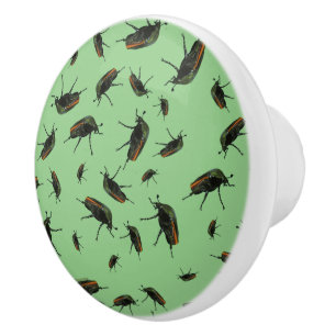 Beetle Bug Knobs