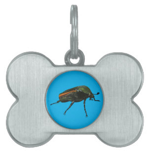 Beetle Bug Pet Tags