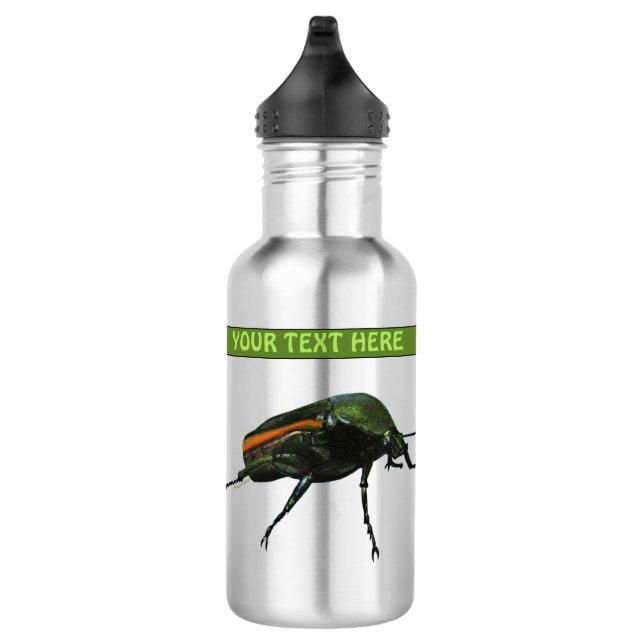 Beetle Bug Water Bottle (Right)