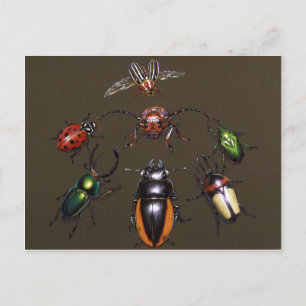 Beetle Circle of Fantasy Postcard