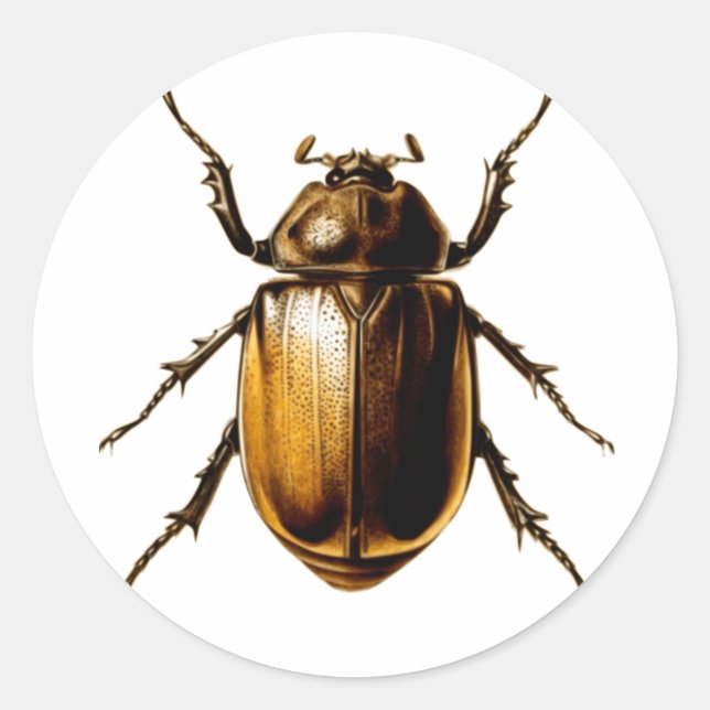 Beetle Classic Round Sticker (Front)