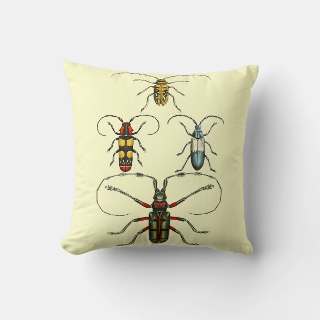 Beetle Display Cushions (Front)