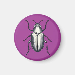 Beetle Magnet