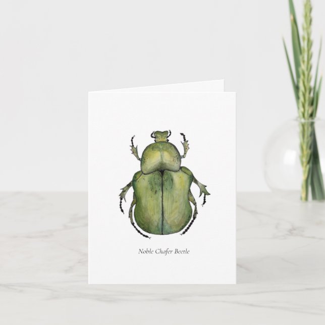 Beetle Note Cards (Front)