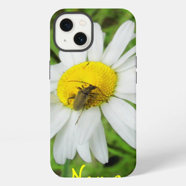 Beetle On A Daisy iPhone Case (Back)
