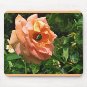 Beetle on a Rose Mouse Mat
