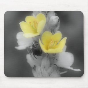 Beetle On Mullein Flower Black White Mousepad