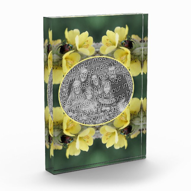 Beetle On Wild Mullein Flower Add Your  Photo Block (Left)