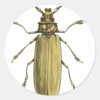 Beetle, Prionus Corticinus Classic Round Sticker