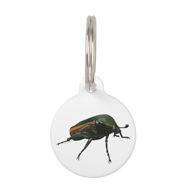 Beetle Round Pet Tag (Front)