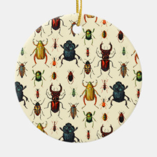 Beetle Varieties Ceramic Tree Decoration