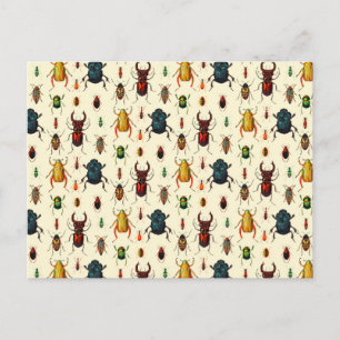 Beetle Varieties Postcard