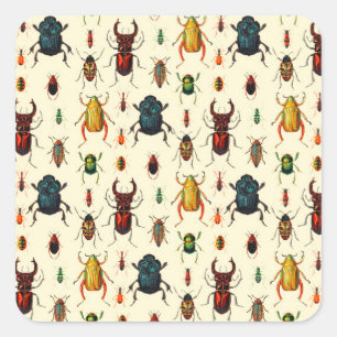 Beetle Varieties Square Sticker