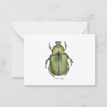 Beetle Watercolor Art Cards