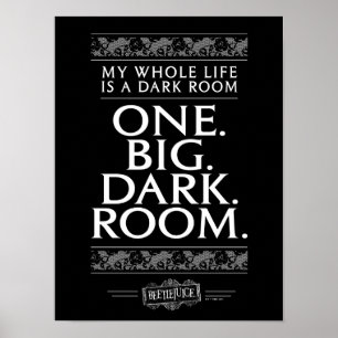 Beetlejuice   My Whole Life Is A Dark Room Poster