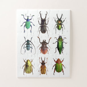 Beetlemania Beautiful Beetle Bugs Jigsaw Puzzle
