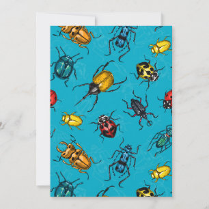 Beetles