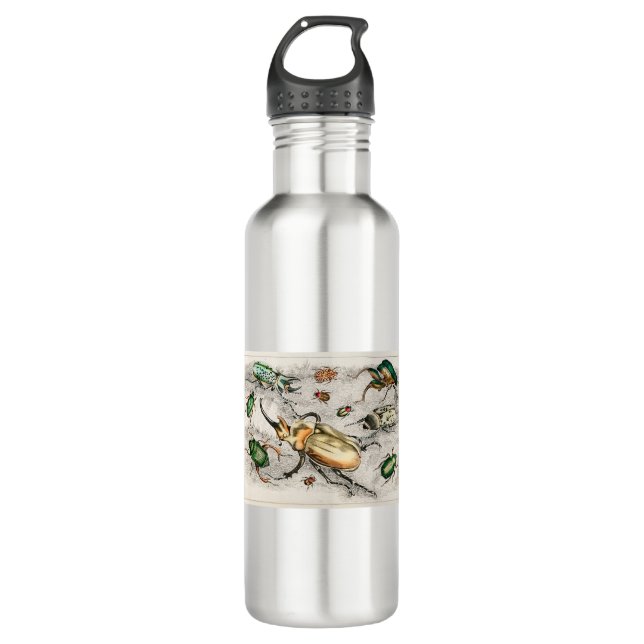 Beetles 710 Ml Water Bottle (Front)