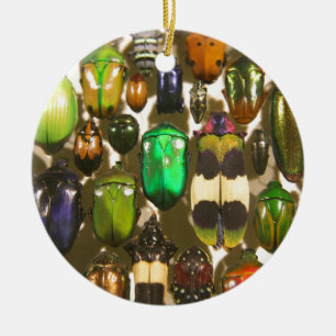 Beetles, Bugs and Insects Ceramic Tree Decoration