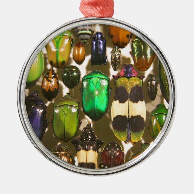 Beetles, Bugs and Insects Metal Tree Decoration (Front)