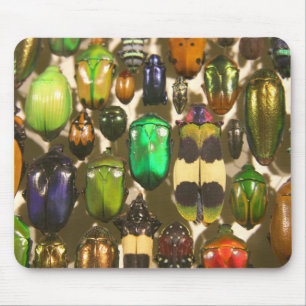 Beetles, Bugs and Insects Mouse Mat