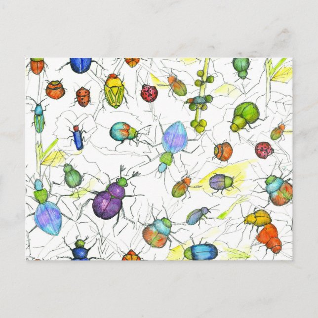 Beetles Bugs Insects Crawling Leaves Twigs Postcard (Front)