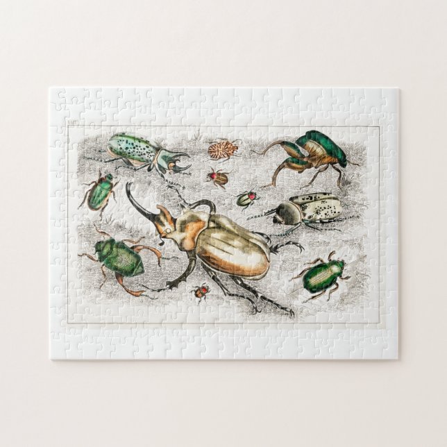 Beetles Bugs Insects Jigsaw Puzzle (Horizontal)