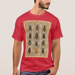 Beetles Bugs T-Shirt