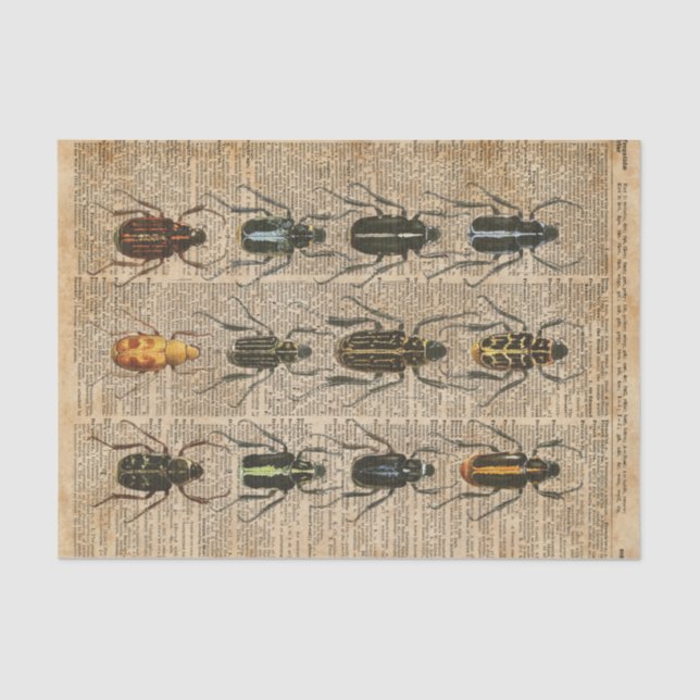 Beetles Bugs Zoology Vintage Illustration Art Tissue Paper (Front)