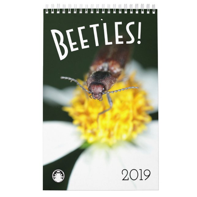 Beetles Calendar (Cover)
