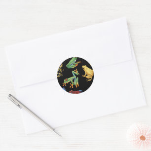 Beetles Classic Round Sticker