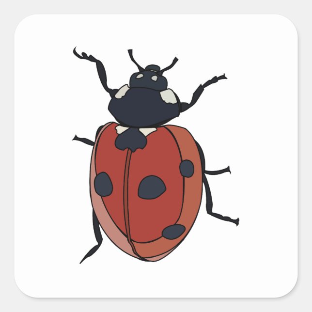 Beetles Insect Ladybug Beetles Square Sticker (Front)