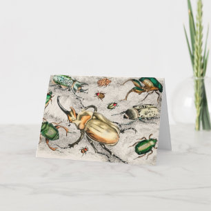 Beetles Insects Bugs Card
